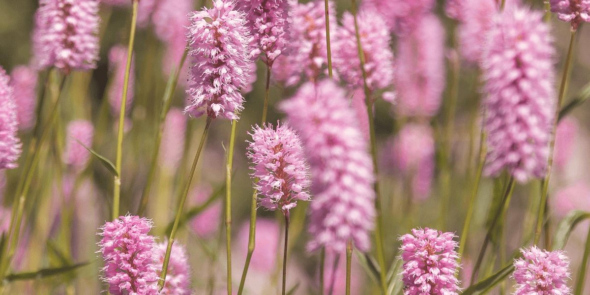 입춘대길 건양다경